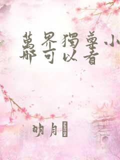 万界独尊小说在哪可以看