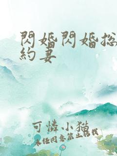 闪婚闪婚总裁契约妻