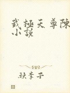 武极天尊陈天极小说