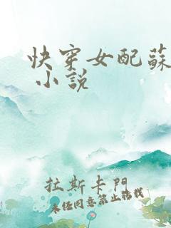 快穿女配苏苏苏 小说