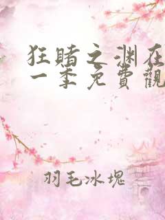 狂赌之渊在线第一季免费观看动漫