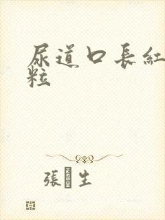 尿道口长红色颗粒