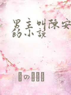 男主叫陈安什么的小说