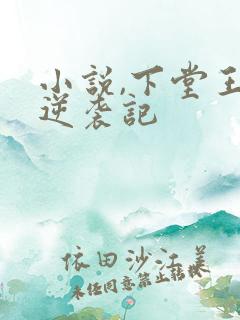 小说,下堂王妃逆袭记
