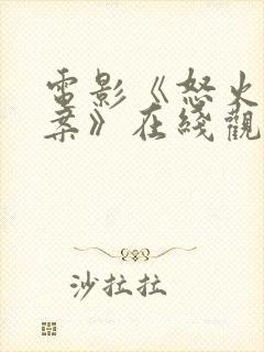 电影《怒火·重案》在线观看