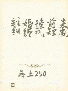 离婚后前夫总想纠缠我短剧