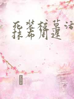 死装校草活该被抹布周迟