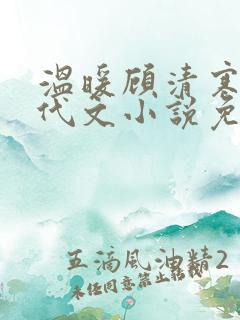 温暖顾清寒的年代文小说免费阅读