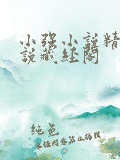 小强小说精品小说藏经阁