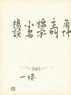 杨小棉主角的小说名字叫什么