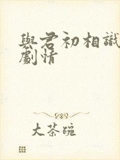 与君初相识分集剧情