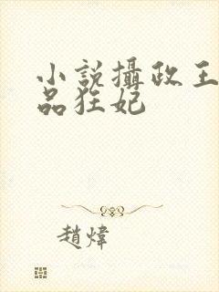 小说摄政王的医品狂妃