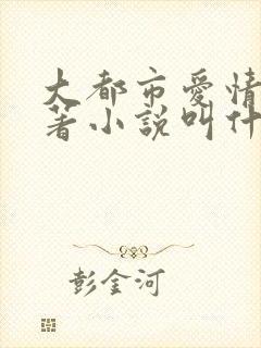 大都市爱情法原著小说叫什么