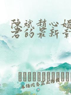 陈斌赵心媚高婉君的最新章节内容