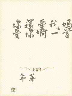 你还爱我吗我还爱你啊一首歌