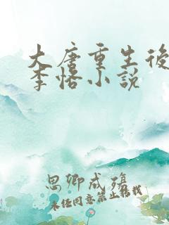 大唐重生后杨妃李恪小说