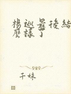 杨巡最后结局怎么样了