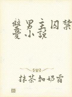 双男主囚禁强制爱小说