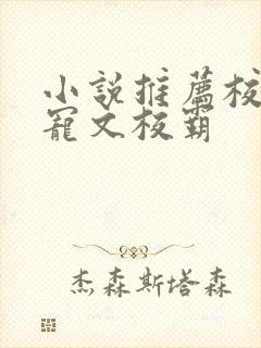 小说推荐校园甜宠文校霸