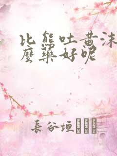 比熊吐黄沫吃什么药好呢