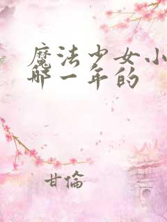 魔法少女小圆是哪一年的