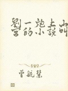 刘一炮上山开后宫的小说叫什么