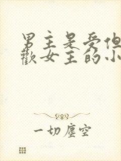 男主是受但是喜欢女主的小说