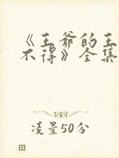 《王爷的王妃惹不得》全集免费阅读