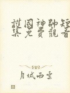 护国神帅短剧全集免费观看