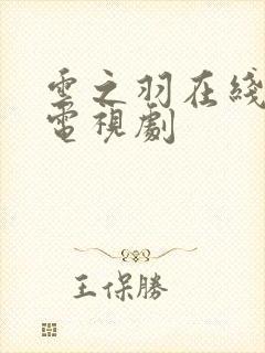 云之羽在线免费电视剧