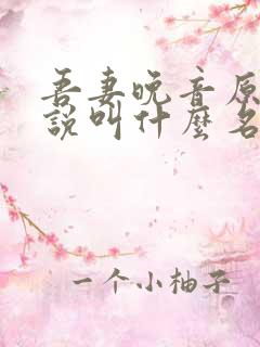 吾妻晚音原著小说叫什么名字