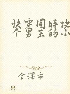 快穿同时攻略n个男主的小说