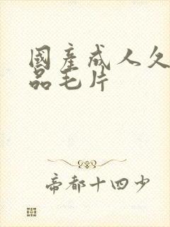 国产成人久久精品毛片