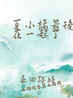 夏小橘最后和谁在一起了