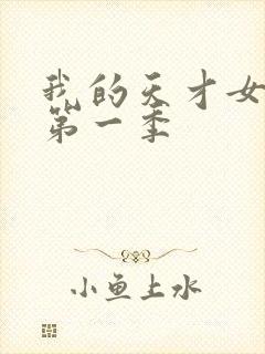 我的天才女友 第一季