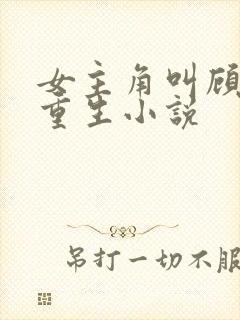 女主角叫顾清欢重生小说