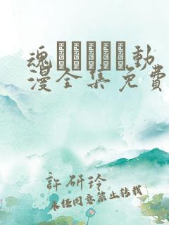 魂インサート动漫全集免费