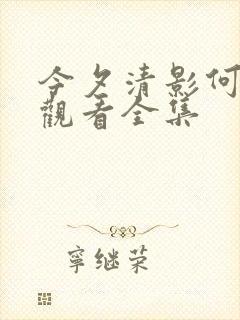 今夕清影何处寻观看全集