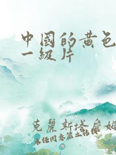 中国的黄色录像一级片