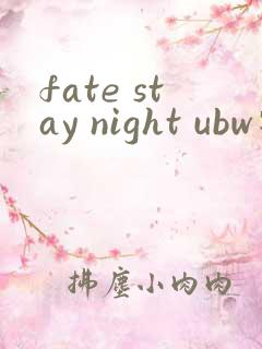 fate stay night ubw特典
