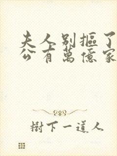 夫人别抠了你老公有万亿家产短剧