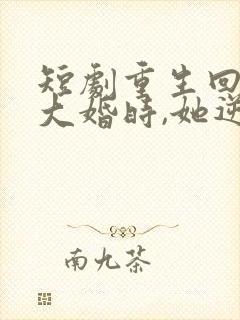 短剧重生回夫君大婚时,她逆风翻盘