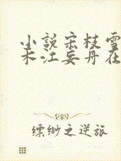 小说宋枝雪顾婉禾江妄舟在线阅读