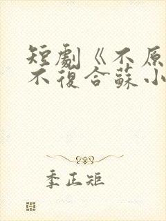 短剧《不原谅,不复合苏小姐独美》