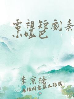 电视短剧秦爷的小哑巴