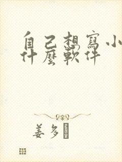 自己想写小说用什么软件