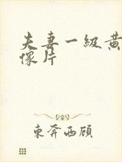 夫妻一级黄色录像片