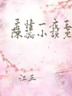 柔情一夜王小俊陈蕊小说免费阅读长
