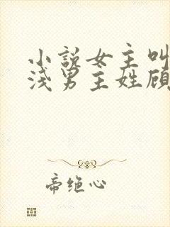 小说女主叫苏浅浅男主姓顾