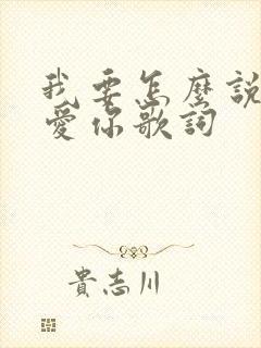 我要怎么说我不爱你歌词